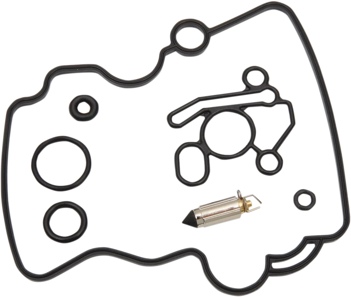 Carburetor Repair Kit