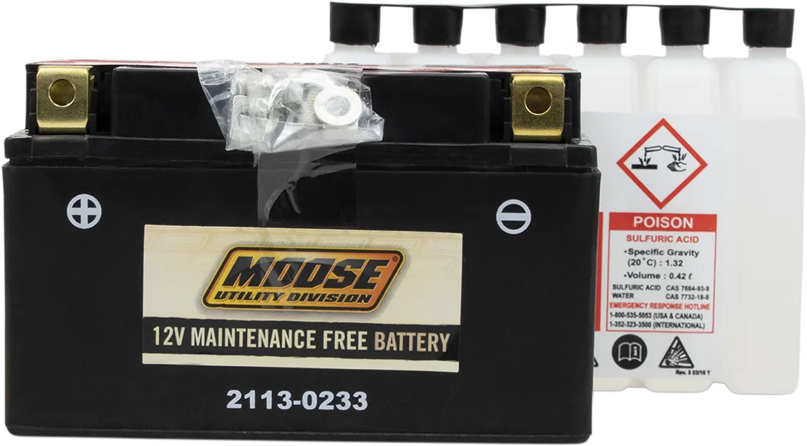 AGM Maintenance-Free Battery