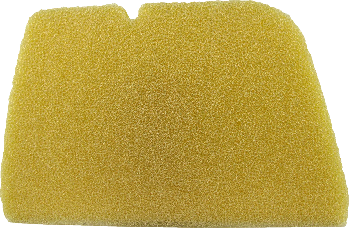 Foam Air Filter