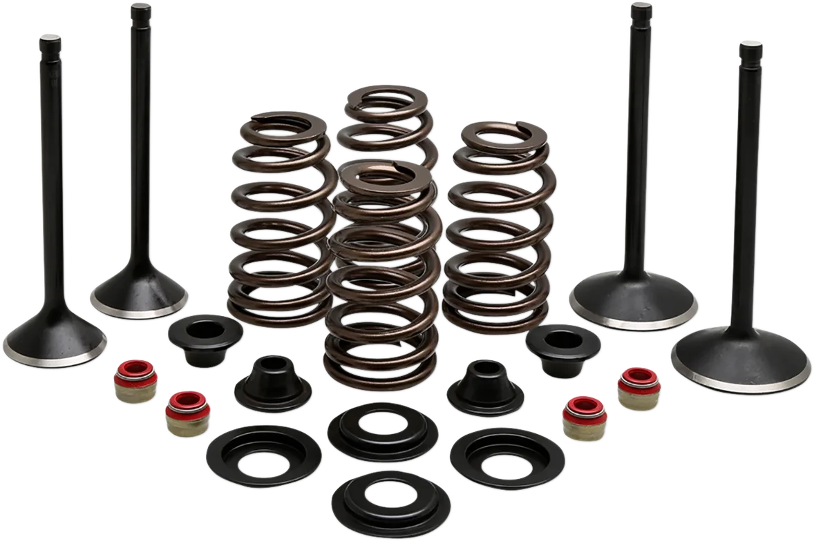 Engine Valve Kit