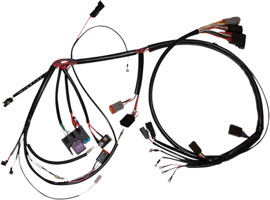 Complete Bike Wiring Harness
