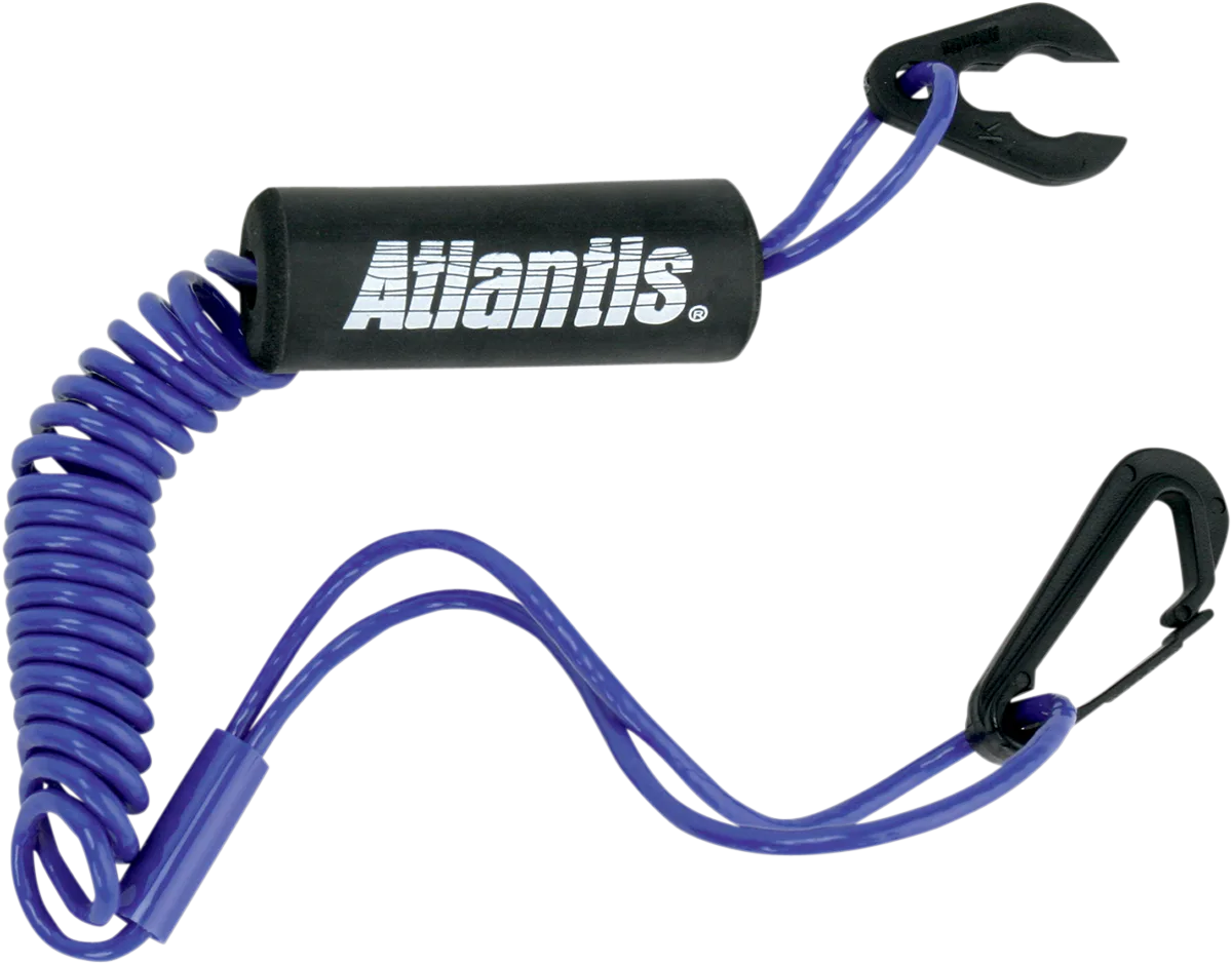 Lanyard