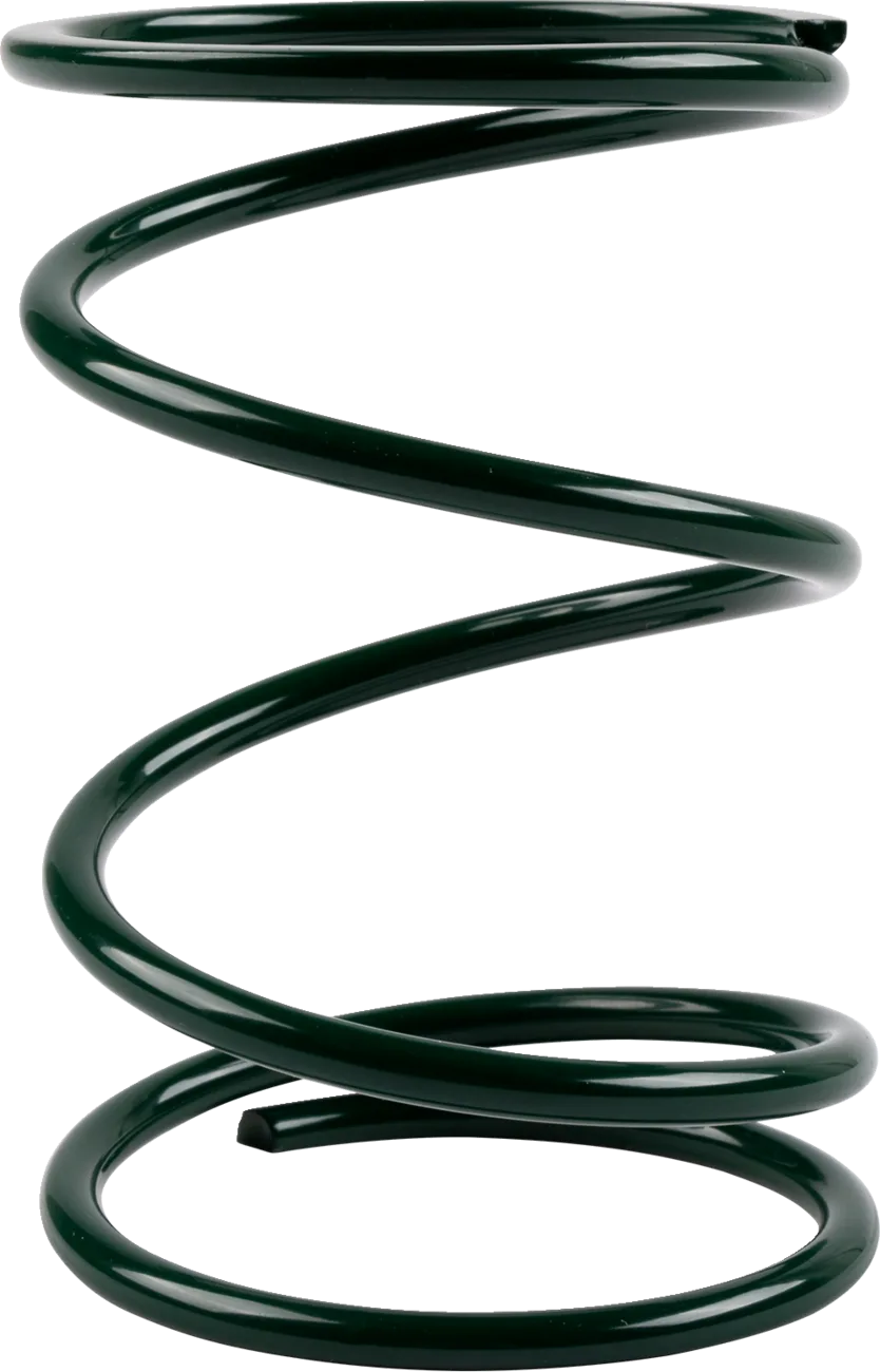 Secondary Clutch Spring