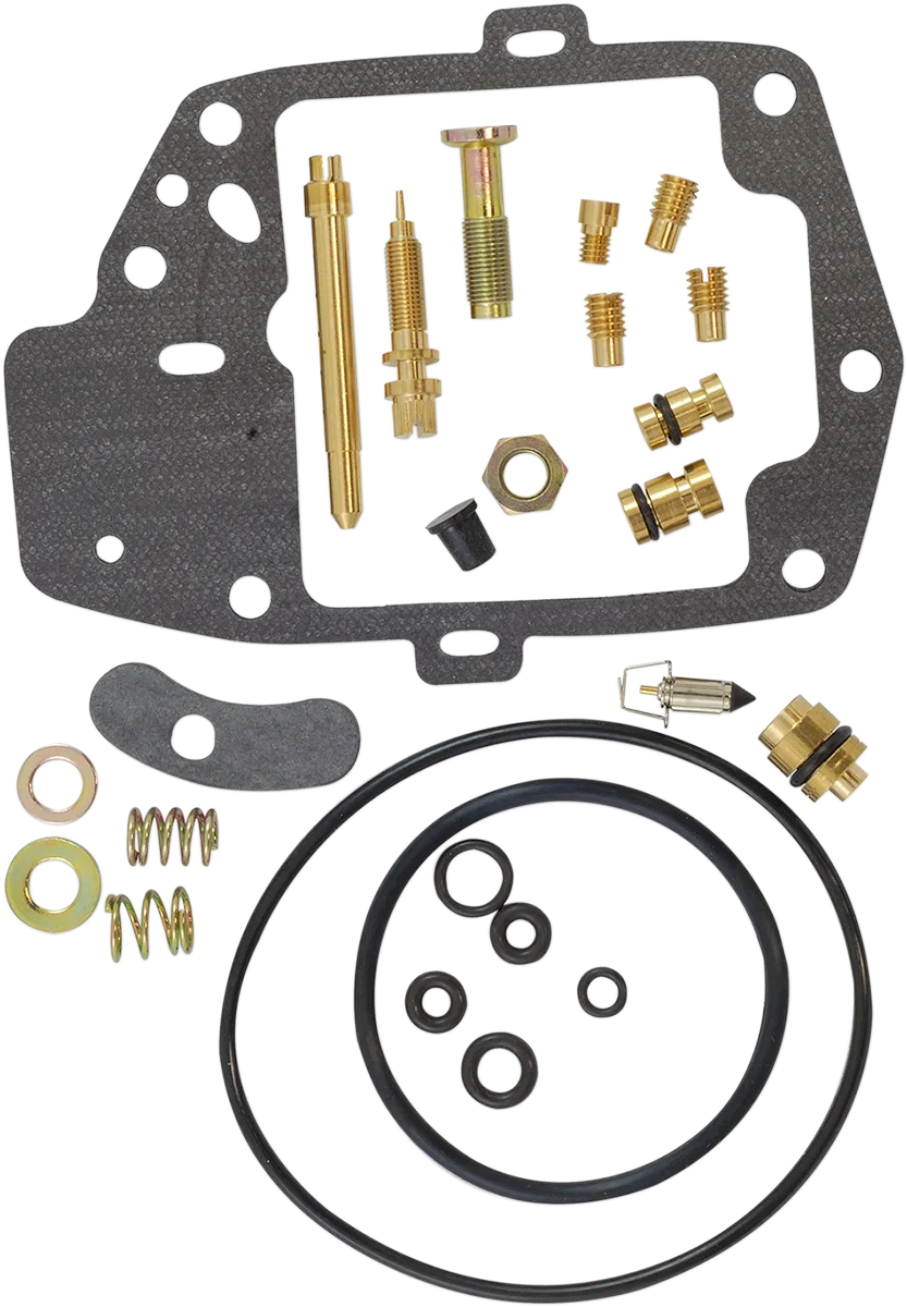 Carburetor Repair Kit