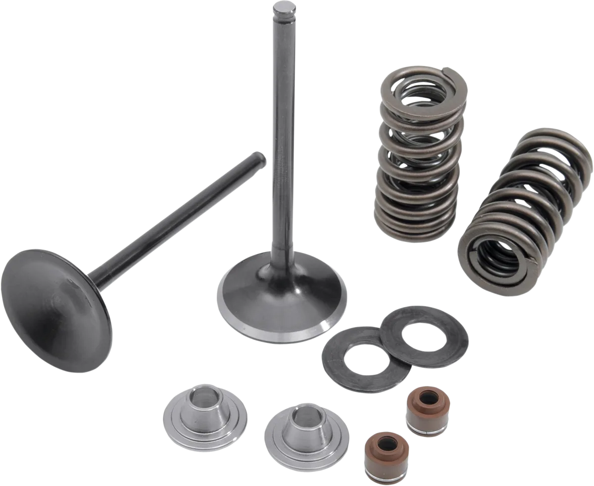 Intake Stainless Conversion Valve and Spring Kit