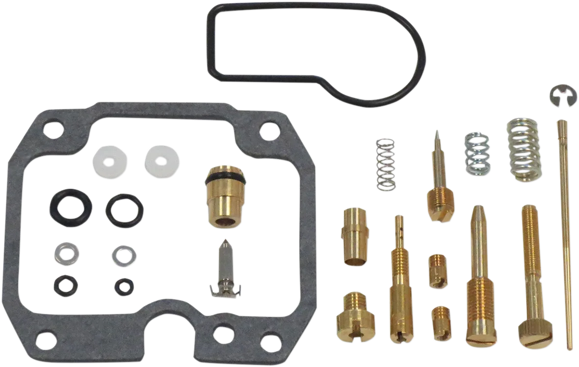 Carburetor Repair Kit