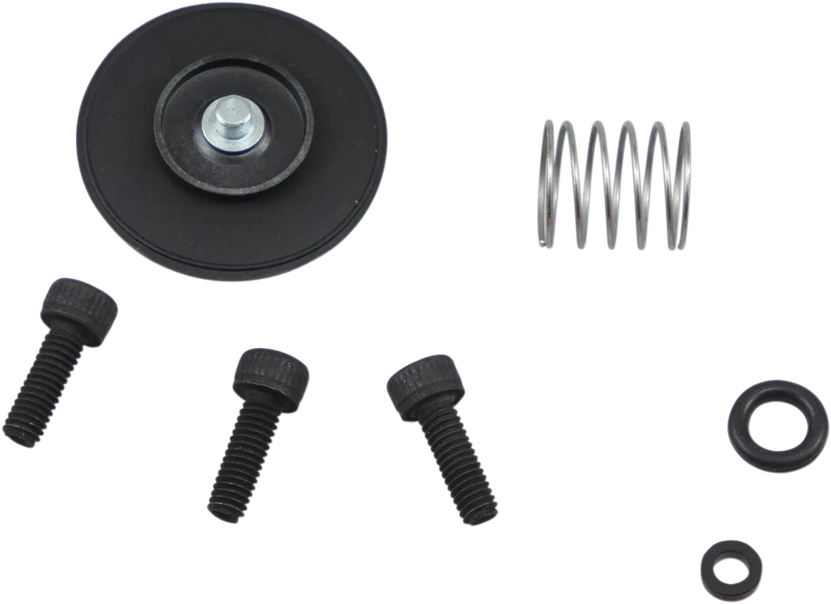 Accelerator Pump Rebuild Kit