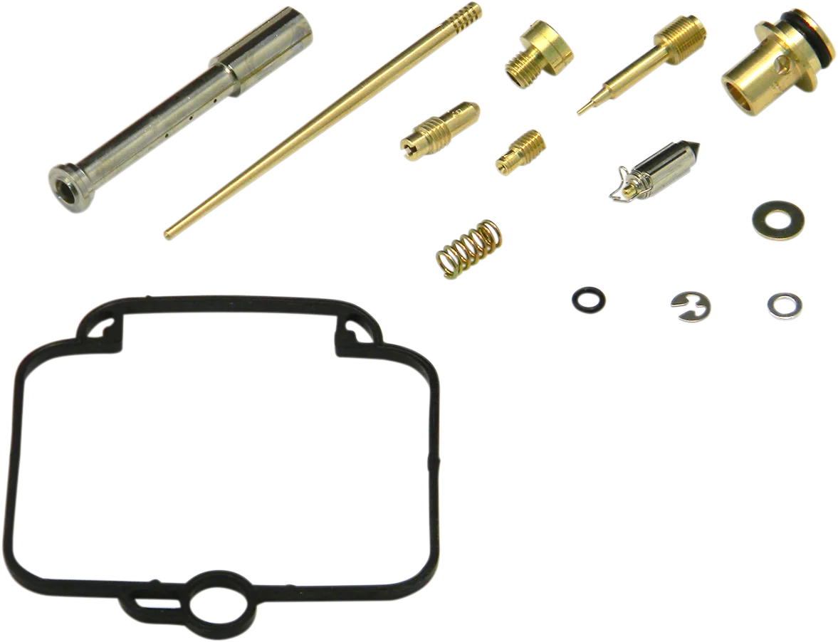 Carburetor Repair Kit