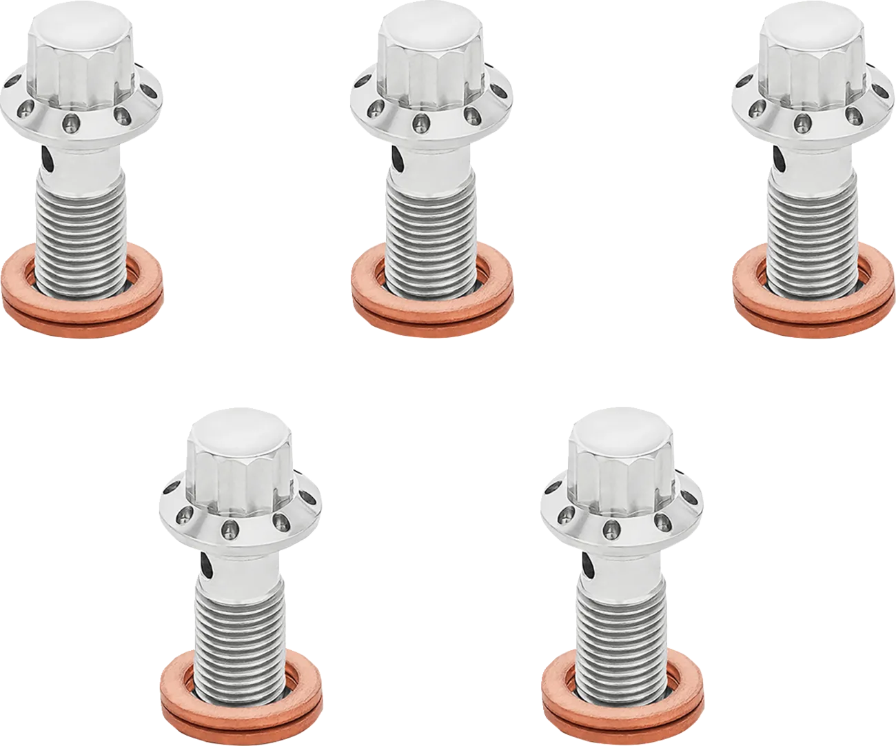 12-Point Titanium Banjo Bolts