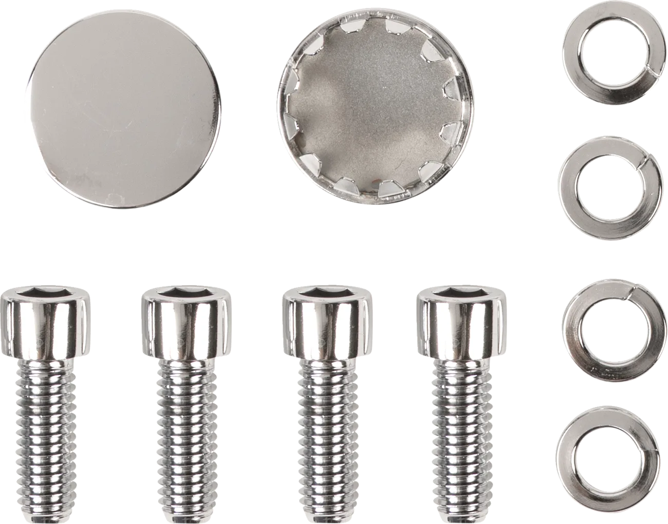 Socket Head Swingarm End Cap Bolt Kit