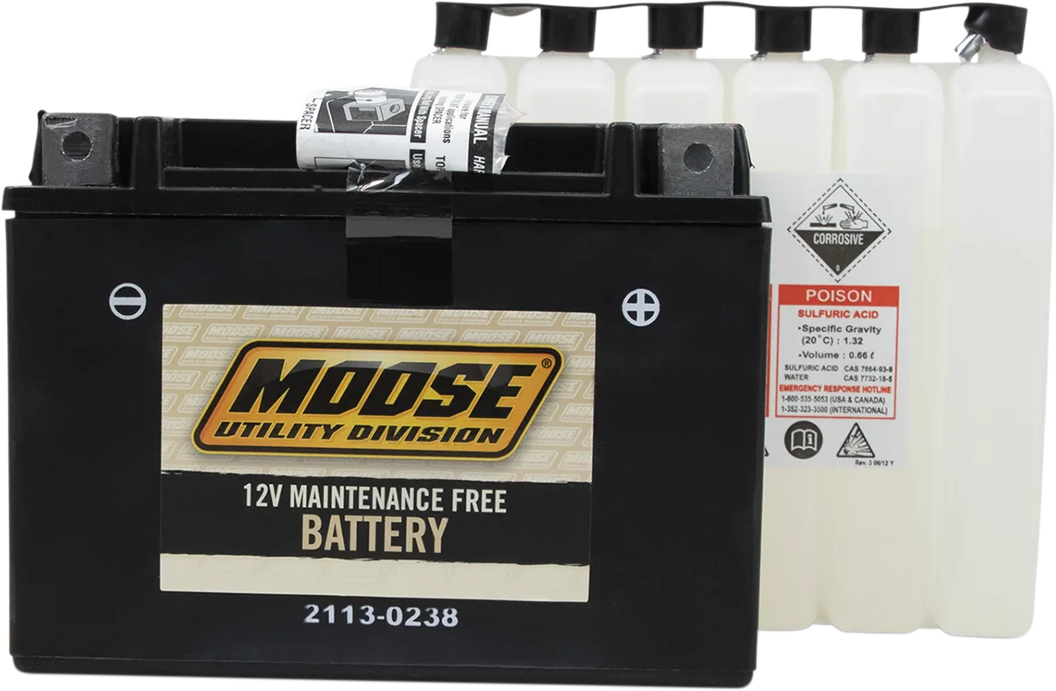 AGM Maintenance-Free Battery