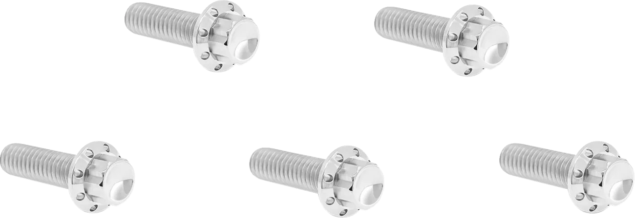 Derby Cover 12-Point Titanium Bolt Kit