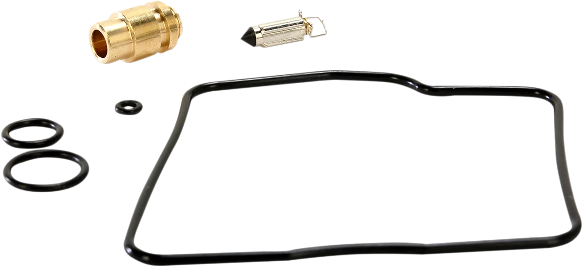 Carburetor Repair Kit