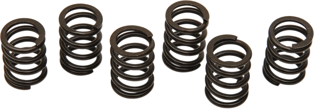Clutch Spring Kit