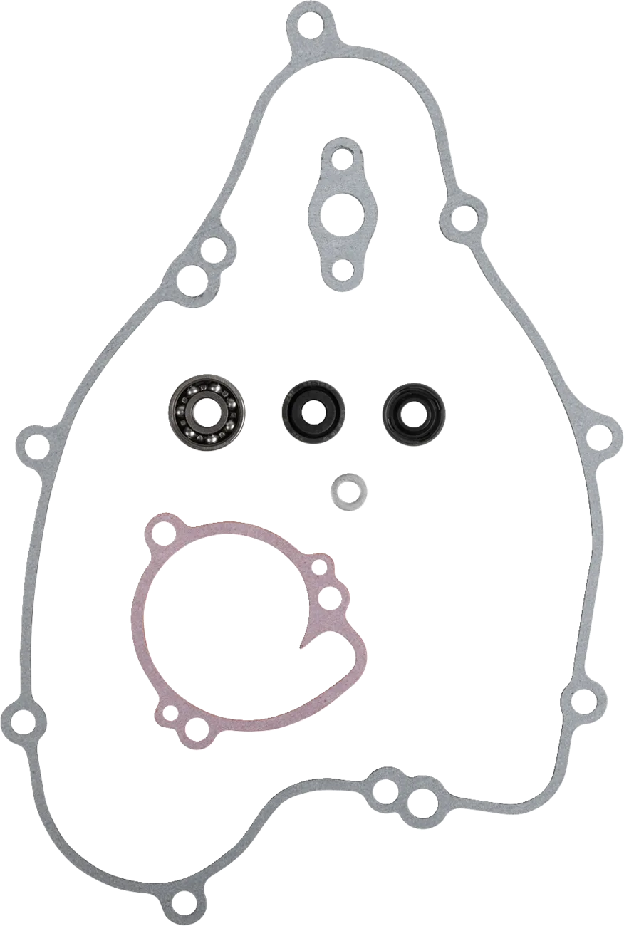 Water Pump Rebuild Kit