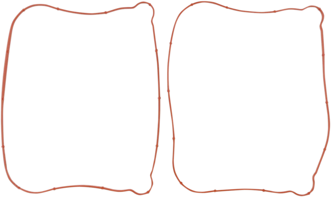 Rocker Gasket