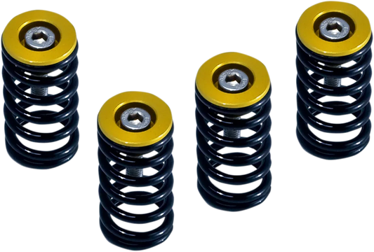 Clutch Spring Kit