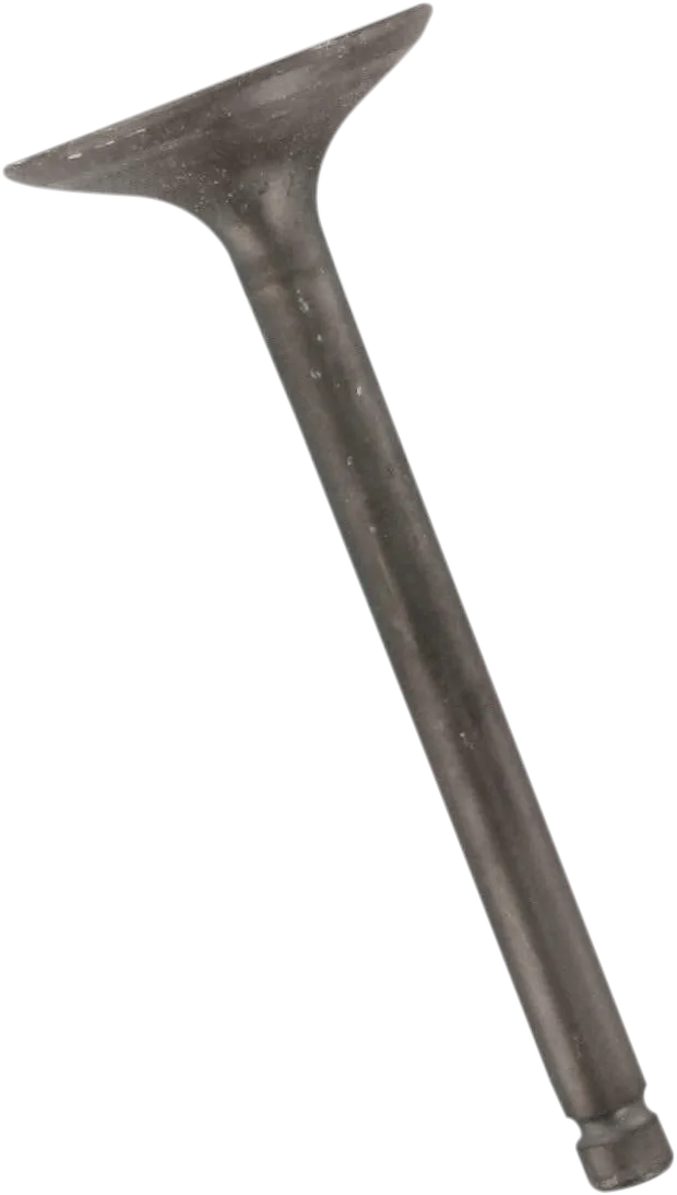 Engine Valves