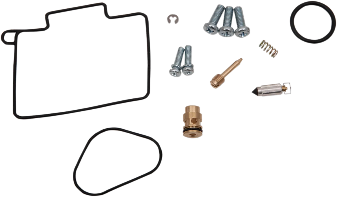 Carburetor Repair Kit