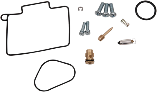 Carburetor Repair Kit