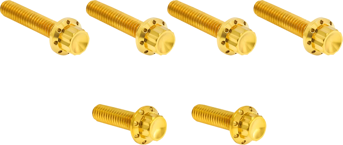 Transmission Side Cover Titanium 12-Point Bolt Kit
