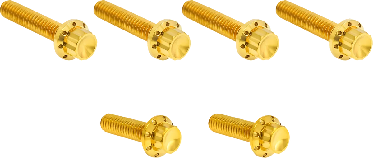 Transmission Side Cover Titanium 12-Point Bolt Kit