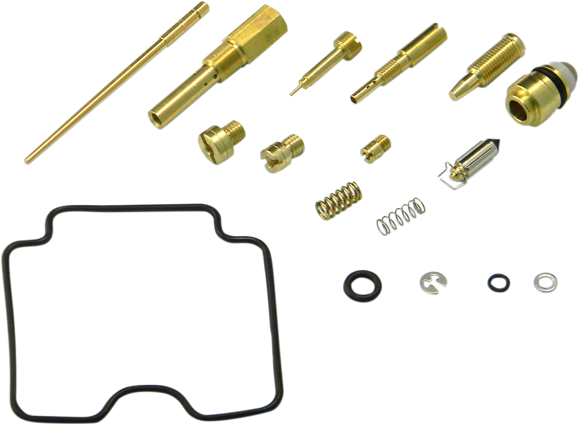 Carburetor Repair Kit