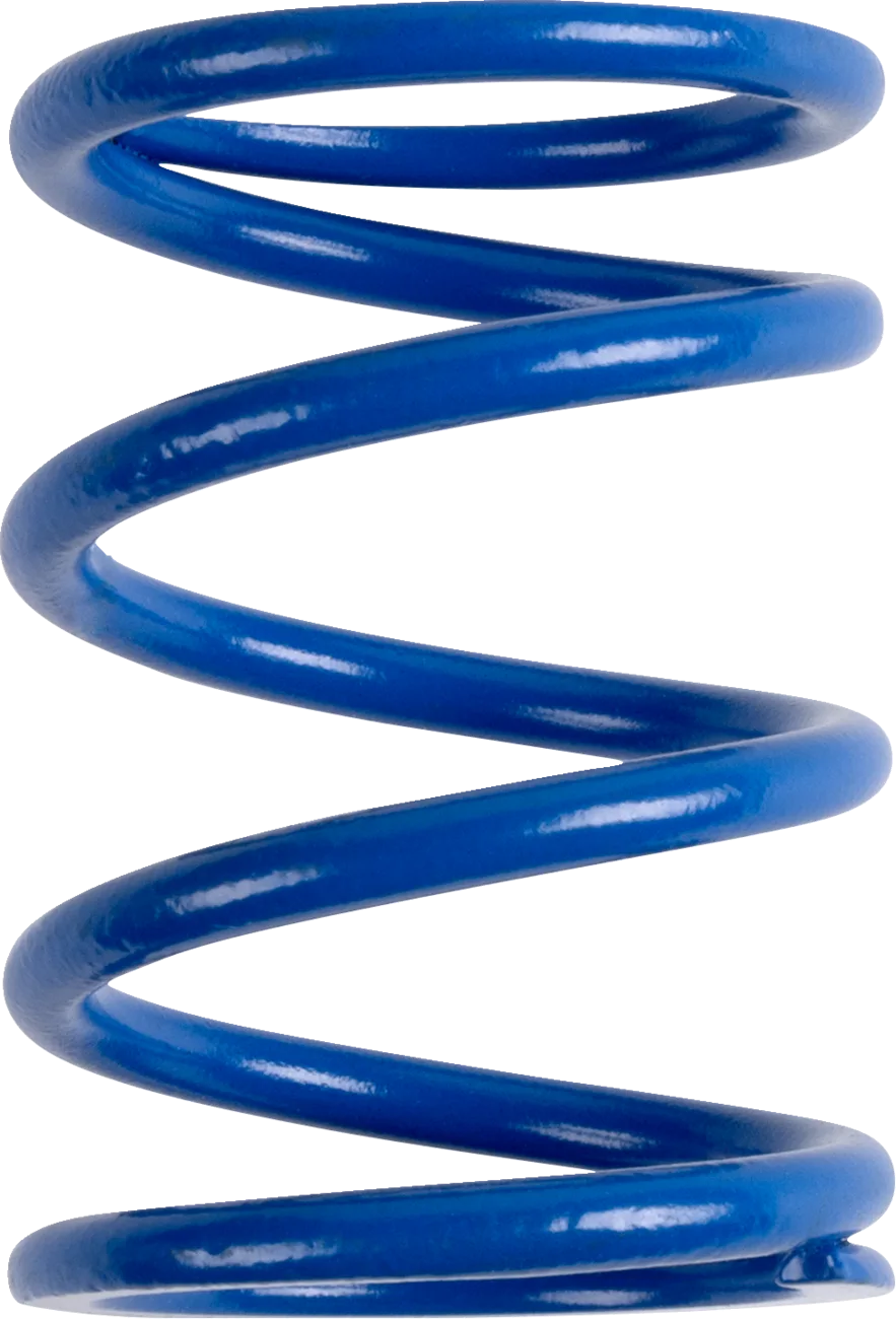 Polaris Primary Clutch Spring