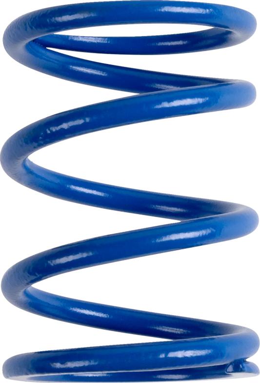 Polaris Primary Clutch Spring