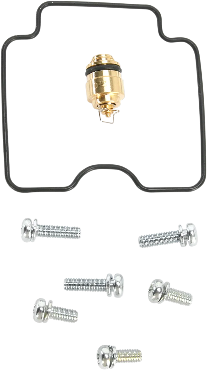 Carburetor Repair Kit