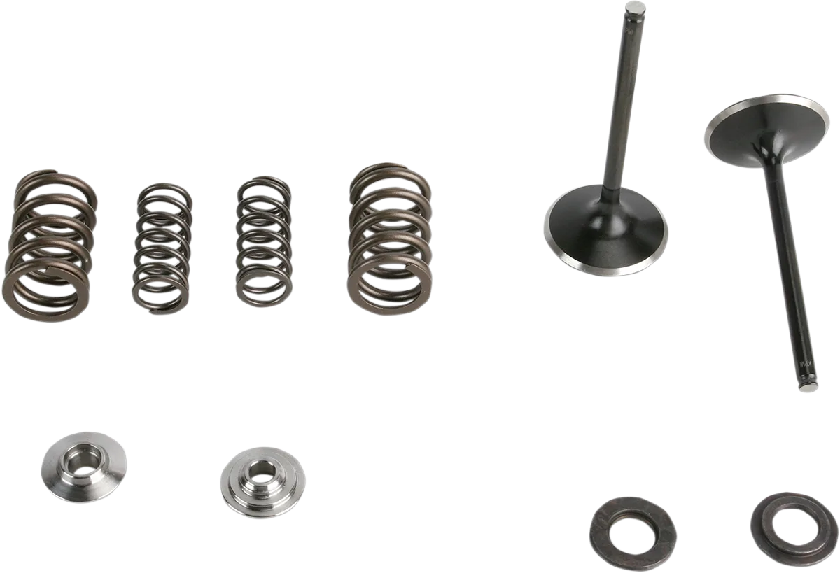Intake Stainless Conversion Valve and Spring Kit
