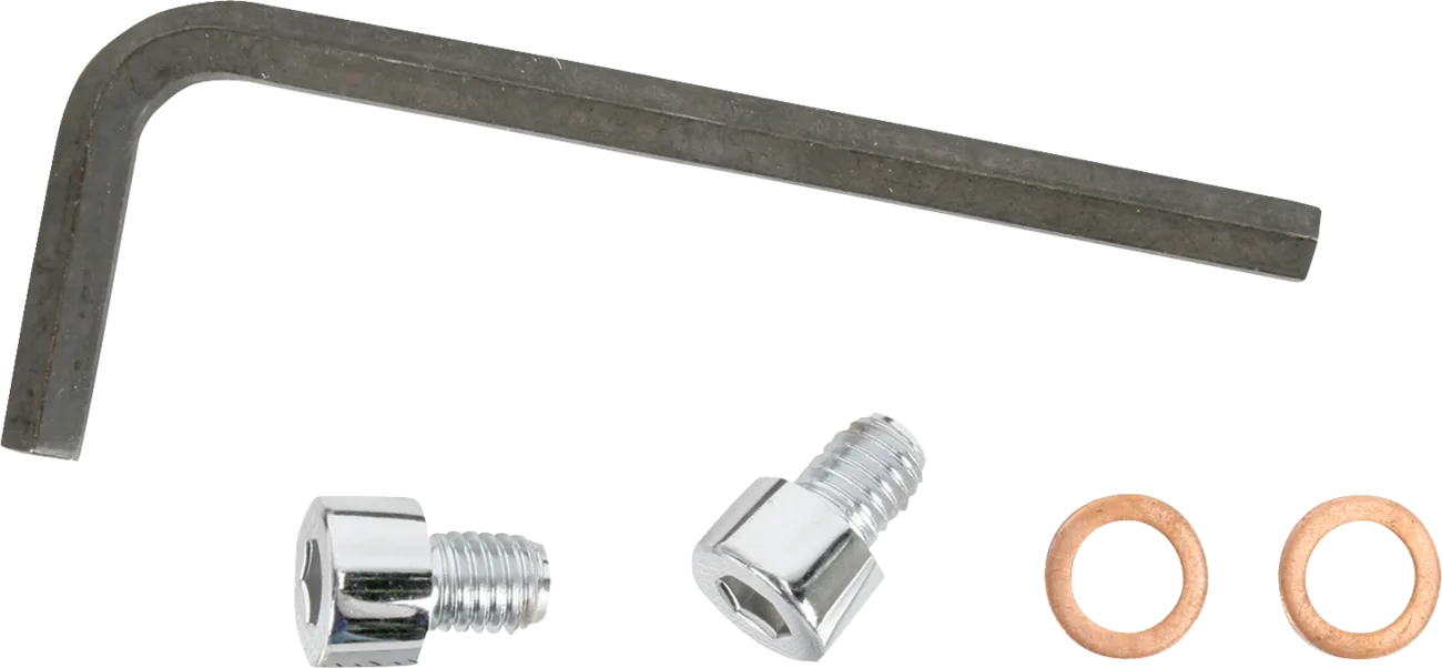 Fork Drain Plugs