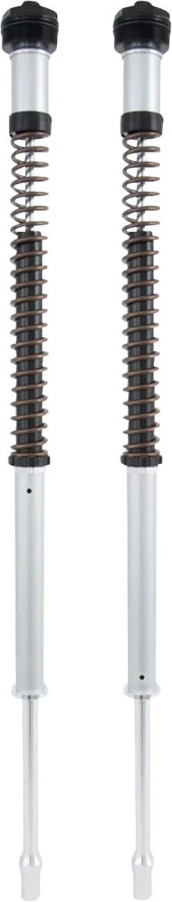 Fork Cartridge Kit
