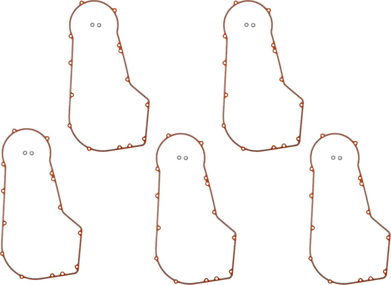 Primary Gasket
