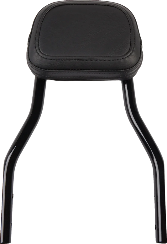 Detachable Backrest Kit