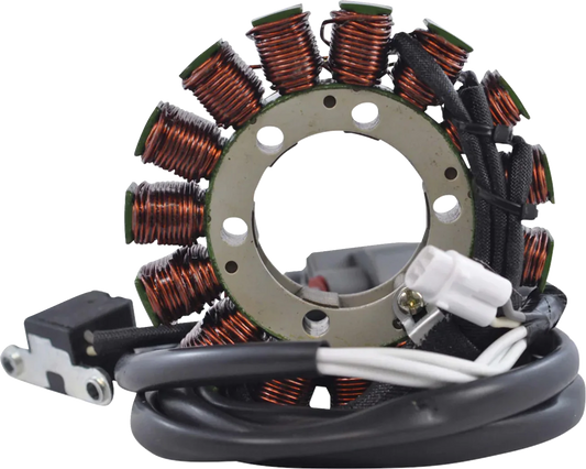 Stator with Crankcase Cover Gasket