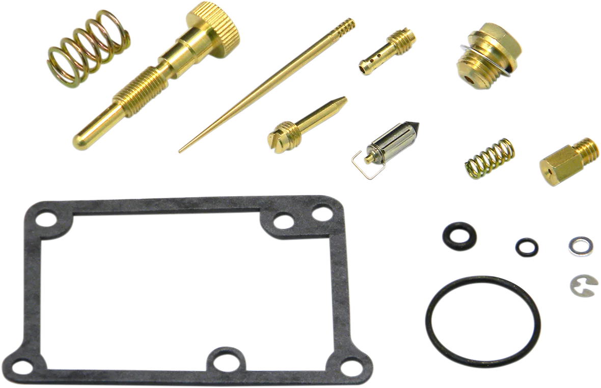 Carburetor Repair Kit