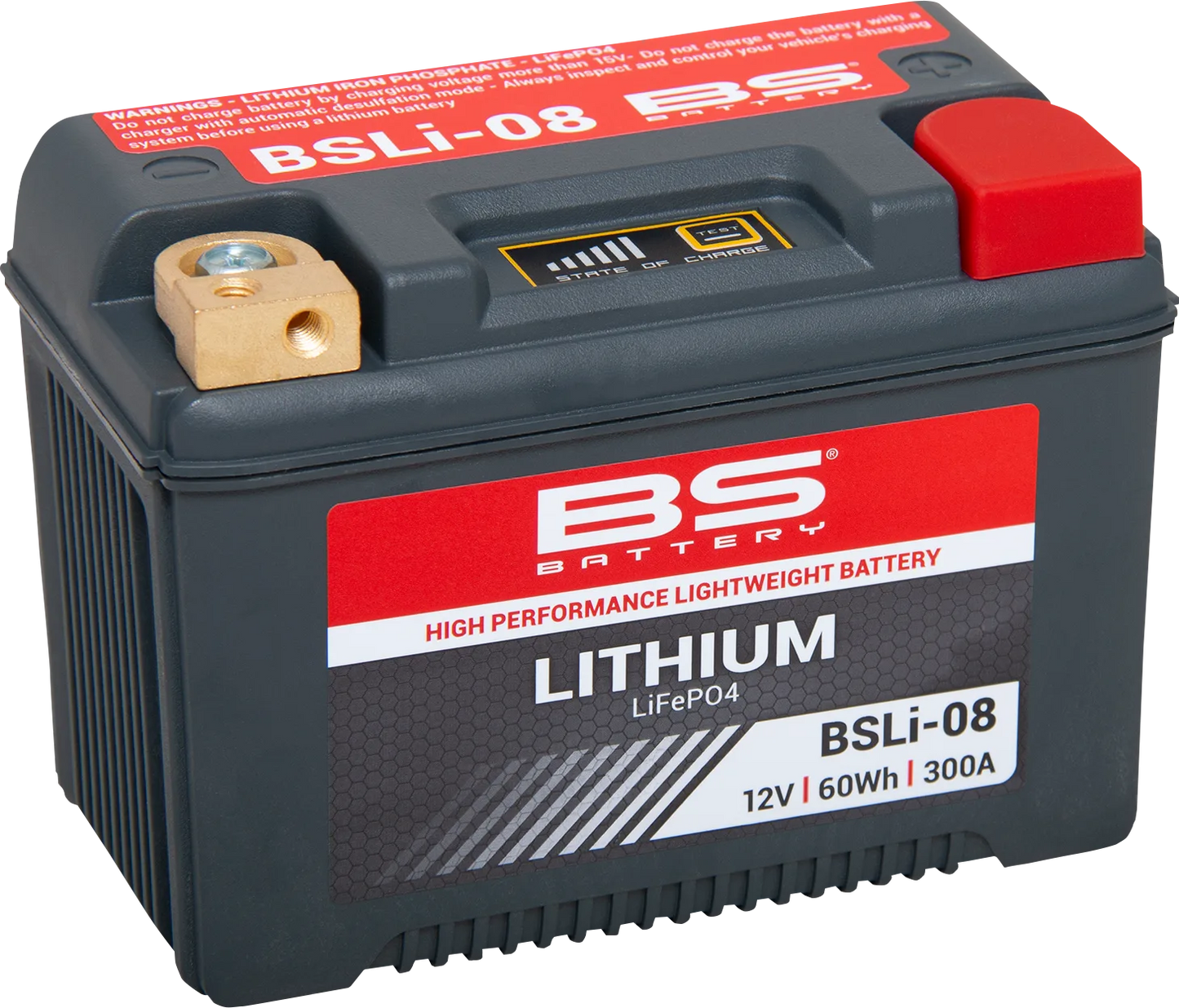 Lithium LiFePO4 Battery