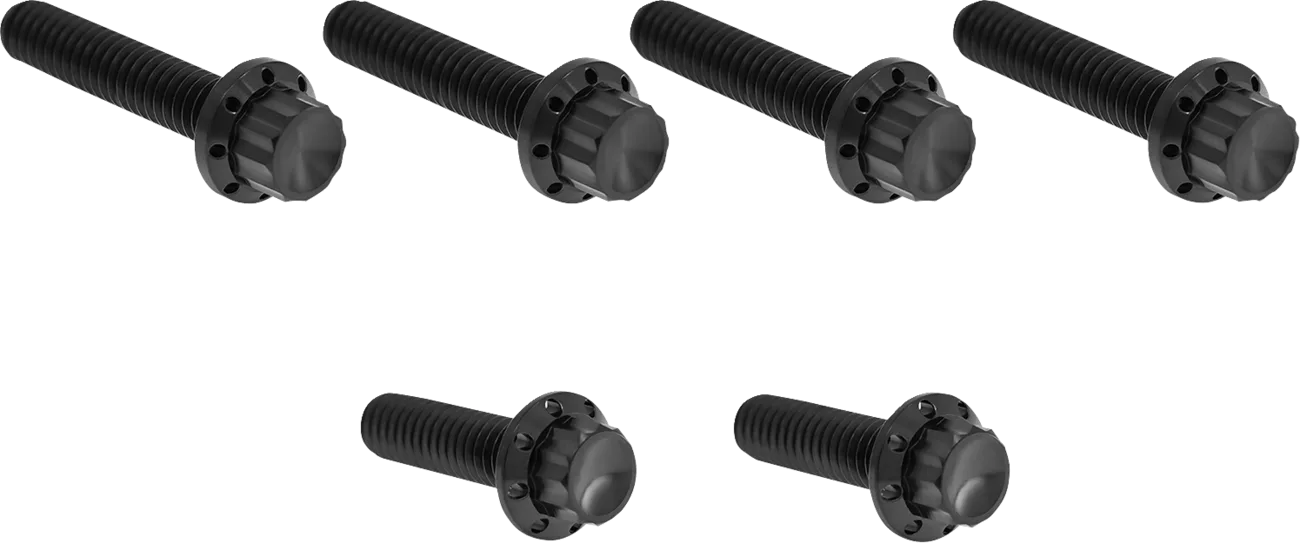 Transmission Side Cover Titanium 12-Point Bolt Kit