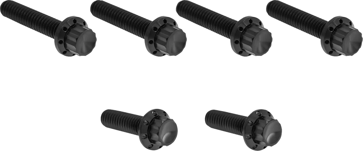 Transmission Side Cover Titanium 12-Point Bolt Kit