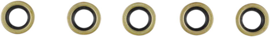 Starter Shaft Seal