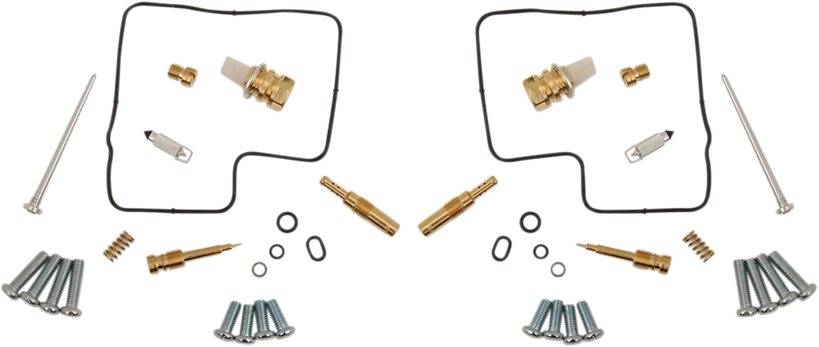 Carburetor Repair Kit