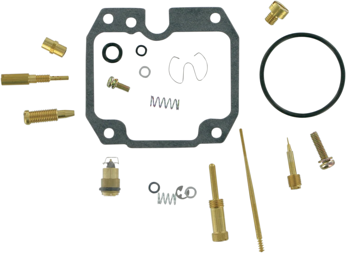 Carburetor Repair Kit