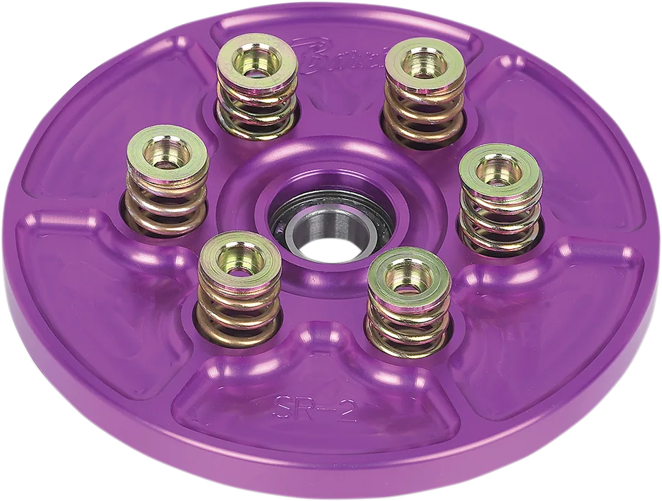 Clutch Spring Kit