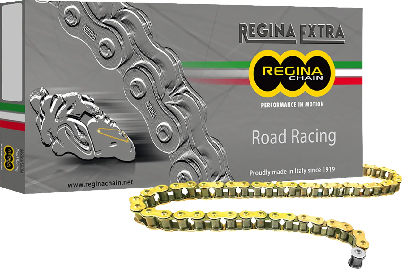 520 GPZ Series Chain