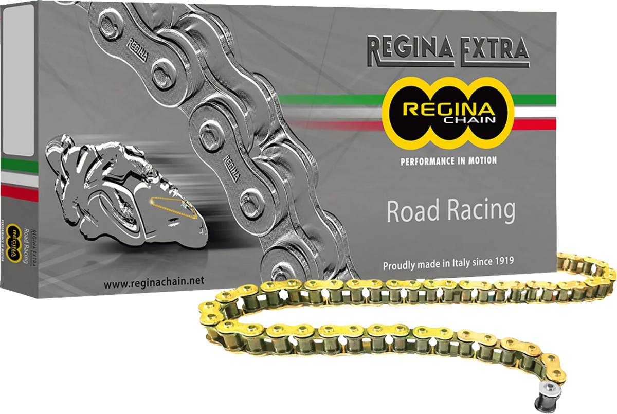 520 GPZ Series Chain