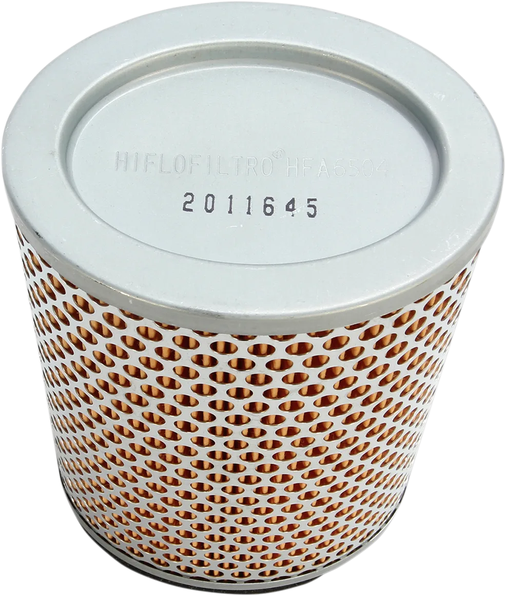 Replacement Air Filter