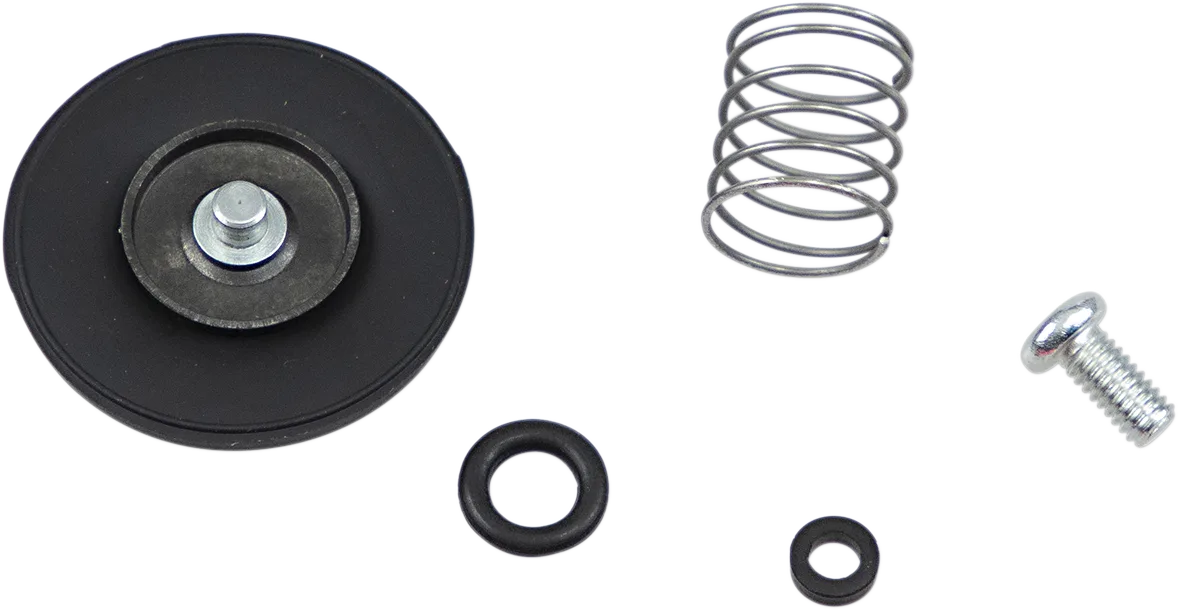 Accelerator Pump Rebuild Kit