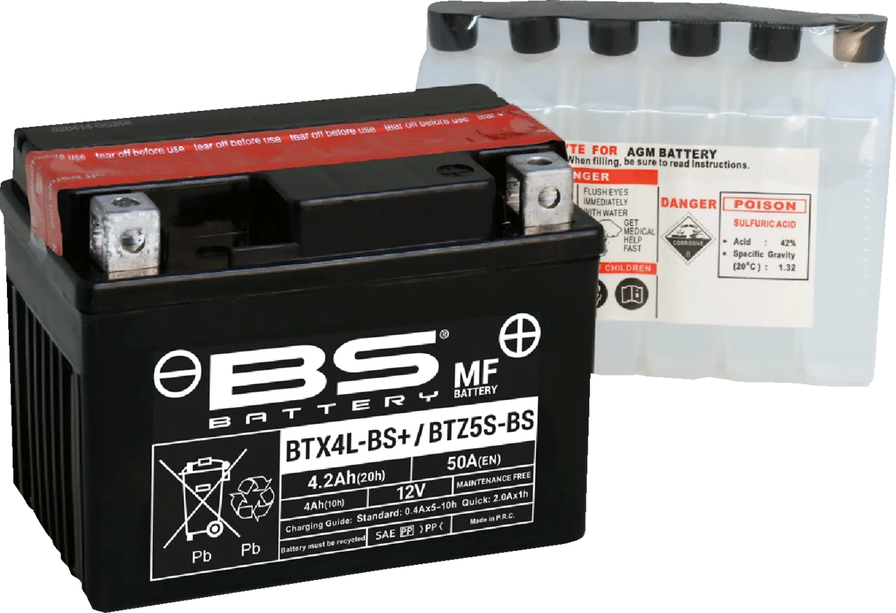 Maintenance-Free Battery
