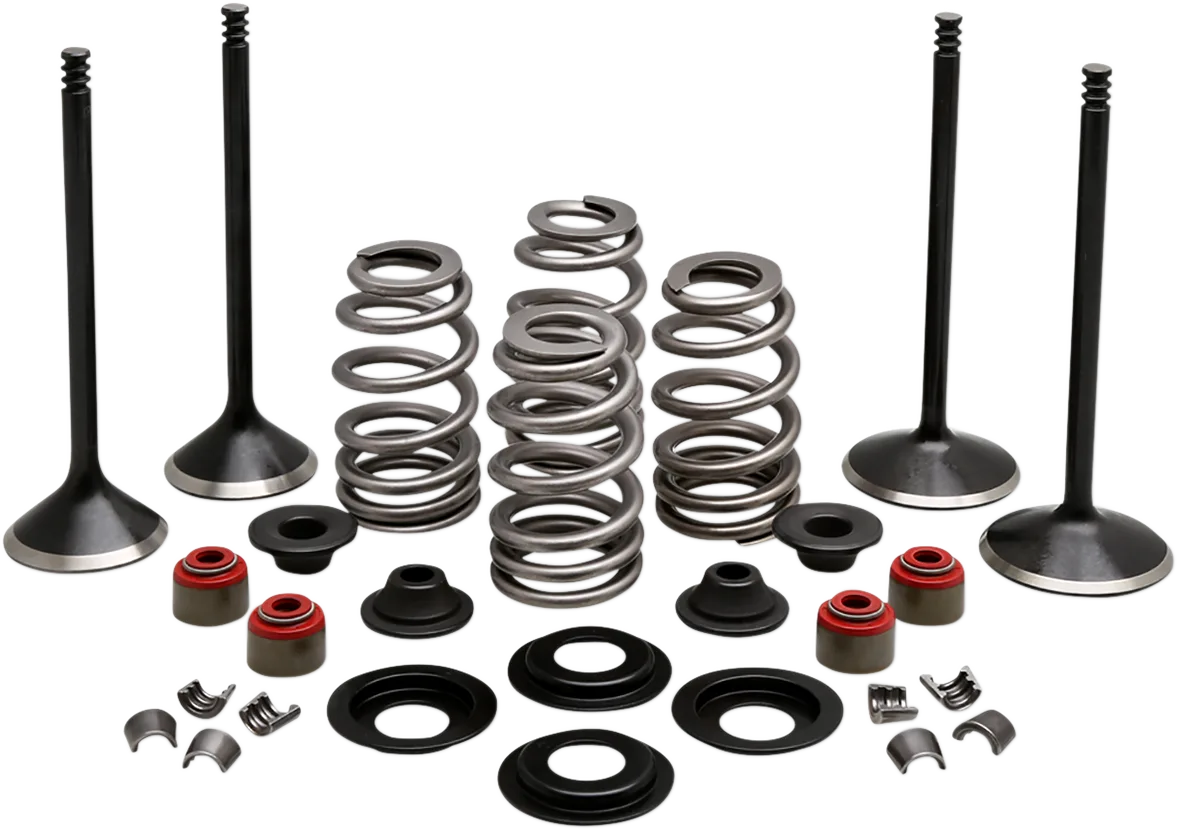 Engine Valve Kit